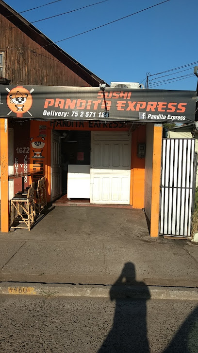 Horarios Pandita Express